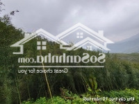 Cần Bán Gấp Đất Nông Nghiệp Tại Sapa Chính Chủ