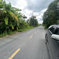 Bán Đất Mặt Tiền Trương Văn Đa 21.000m2 Có 1.300m2 Thổ Cư - 3.3Tr/m2