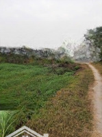 Đất Sổ Hồng Riêng - Giá Hấp Dẫn, Chỉ Có 1 Lô Duy Nhất