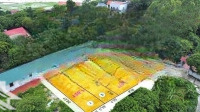 Đất Châu Phong Giá Rẻ Gần Kcn Eco Mở Rộng