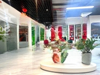Nhượng Gấp Văn Phòng 300M2 Ngay Trung Kính, Trung Hòa - Giá Tốt & Đẹp Như Ảnh