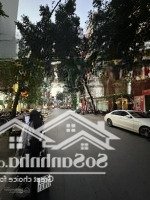 Bán Nhà Mặt Phố Trần Đại Nghĩa, 55 Tỷ, 250M2, Đẹp Xuất Sắc, Chính Chủ, Hà Nội