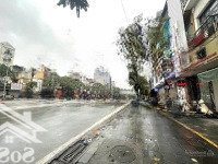 Bán Nhà Mặt Phố Trần Đại Nghĩa, 55 Tỷ, 250M2, Đẹp Xuất Sắc, Chính Chủ, Hà Nội