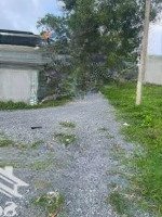Chính Chủ Bán Gấp Đất Trảng Dài Biên Hòa Đồng Nai 1Ty520