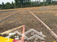 Bán Đất Nền 60M2 Tại Đường Phú Mãn, Quốc Oai, Hà Nội, 55 Triệu Vnd, Hàng Hiếm!