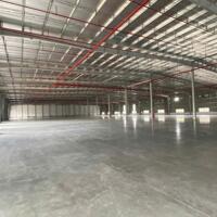 Cho thuê xưởng 55000m2 KCN Minh Hưng, Huyện Chơn Thành, Bình Phước