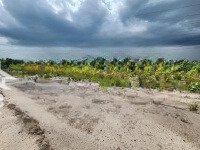 Hot: 2000M2 Nhơn Trạch Mặt Tiền Đường, 2.5Tỷ