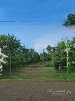 Cần Tiền Bán Gấp Lô Đất Kim Long, Châu Đức