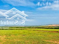 Bán Đất View Biển Hoà Thắng Bắc Bình Bình Thuận. 300K/1M2.