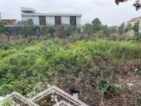 Bán Đất Đông Tảo - Khoái Châu - Hưng Yên Lô 919M2 Có Thể Phân Lô Giá Siêu Rẻ 1Xtr/M2. Liên Hệ: 0333666483