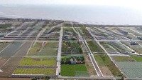 Em Bán Lô Đất Mặt Biển Giáp Quất Lâmdiện Tích100M2 Giá Bán 1,2 Tỷ