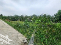 Bán 592 M2 Đất Thổ Cư 510M2 Tại Đường T11 Bình Chánh, Giá Gần 18 Triệu/M2