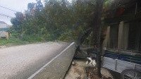 Bán Căn Nhà 2 Tầng, 2 Mặt Tiền Mặt Đường Ngô Quyền. Phường Quảng Cư, Sầm Sơn