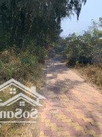 Bán Đất Mặt Tiền Biển Cần Giờ Lộ Giới Quy Hoạch 120M, Giá Bán 26 Triệu/M2 Nhìn Ra Dự Án Vinhomes