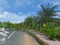 Đất Rẻ Nhất Phường Phú Hữu, Tp. Thủ Đức.diện Tích120M2 Chỉ Hơn 4 Tỷ, Trước Đất 10M Có Vỉa Hè Cây Xanh