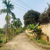 Bán Lô Đất Ô Tô Xã Hoàng Cương Thanh Ba Phú Thọ 400m x 10m chỉ 5,8 tỷ.