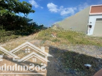 Bán Đất Mặt Tiền Ql50 Thổ Cư Sổ Riêng, Diện Tích: 788M2 Huyện Bình Chánh