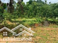 Cần Tiền Bán Nhanh 1709M2 Đất Tại Xã Gia Mô, Tân Lạc, Hòa Bình, Giá Siêu Hời Chỉ Với 1,1 Tỷ