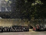 Cho Thuê Nhà Mặt Phố Đặng Dung, Diện Tích: 300M2X3 Tầng, Mặt Tiền: 15M, Vị Trí Vàng Để Kinh Doanh