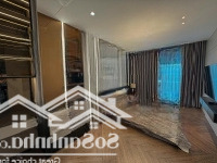 Cho Thuê Căn Nhà Phố Vườn 208M Sàn Tại The Standard An Gia Bình Dương. Liên Hệ: 0909 901 666