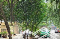 Cần Bán Dãy Nhàhẽm Xe Hơi8M Lê Văn Thọ P11 Gv. Dtcn: 307M2. Gía: 24 Tỷ Tl. Liên Hệ: 0855 400 684 Hương