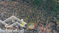 Bán Đất Nền Dự Án King Hill Residences, 2,06 Tỷ, 84M2, Xã Thanh Phú, Bến Lức, Long An