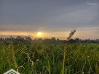 Chính Chủ Bán Đất Xây Biệt Thự Sinh Thái Dự Án Sunshine Heritage Resort Phúc Thọ, Hà Nội