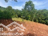 Bán Mảnh Đất View Cánh Đồng Bậc Thang Siêu Đẹp 2287M2 400M2 Thổ Cư Tại Phú Cường Tân Lạc, Chỉ 750 Triệu