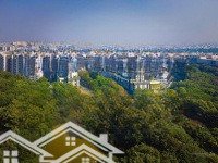 Cho Thuê Căn 2Pn- 2 Vệ Sinh96M2 Diamond Centery Celadon City Tân Phú