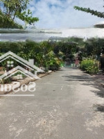 Bán Đất Nền 100M2 Tại Bình Trưng Đông, Giá Ưu Đãi 11,98 Tỷ