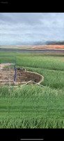 Bán Đất Biển Hòn Đỏ , Thanh Hải, Ninh Hải, Ninh Thuận, 3 Triệu / M2, 1700 M2 Cách Biển 2P Đi Bộ