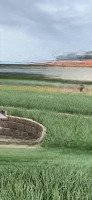 Bán Đất Biển Hòn Đỏ , Thanh Hải, Ninh Hải, Ninh Thuận, 3 Triệu / M2, 1700 M2 Cách Biển 2P Đi Bộ