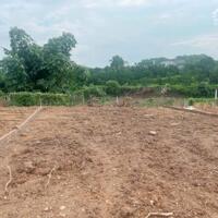 Bán đất Hoàng Cương Thanh Ba Phú Thọ Giá Rẻ 2400x20m chỉ 7 Tỷ 6.