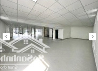 Hdt 380 Triệu/Th - Toà Nhà 2000M2 Mới 100%!!! Mặt Tiền Đường 40M Cộng Hoà - Giá Bán 95 Tỷ