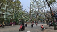 Siêu Phẩm Mặt Phố Trần Đăng Ninh, Cầu Giấy -50M2X4T-2 Mặt Thoáng Trước Sau - Vỉa Hè Kd Bất Chấp