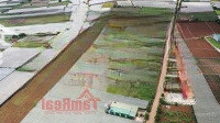 Đất Nền Đơn Dương, Mỏ Kim Cương Sinh Lời