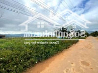 Đất Nền Đơn Dương, Mỏ Kim Cương Sinh Lời