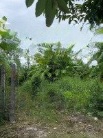 Chính Chủ Bán Đất Phía Sau Chợ Hoà Phát, Đường Tôn Đản, Q Cẩm Lệ. Diện Tích: 1000M2 Giá Thỏa Thuận