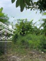 Chính Chủ Bán Đất Phía Sau Chợ Hoà Phát, Đường Tôn Đản, Q Cẩm Lệ. Diện Tích: 1000M2 Giá Thỏa Thuận