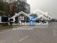 Bán Đất Tại Đường 23, Tiên Dương, Đông Anh, Hà Nội, 198M2, Giá Thỏa Thuận