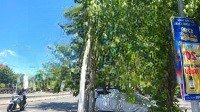 Bán Đất 2 Mặt Tiền Kẹp Kiệt Đường Phó Đức Chính , Mân Thái, Đà Nẵng.