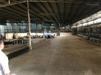 Chuyển Nhượng Nhà Máy Mặt Tiền Sông Vàm Cỏ Tây Có Gp Bến Thuỷ Nội Địa - Hạn Sử Dụng Đất 2063