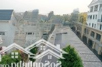 Chính Chủ Bán Song Lập 150M2 Giá Rẻ 24 Tỷ Vinhomes Gia Lâm