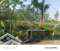 Nhơn Thọ 1 Hoà Phước Hoà Vang Đà Nẵng