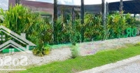 Cần Bán Nền Shophouse Trục Chính Dự Án Dragon Pearl 90M2 Sổ Sẵn Công Chứng