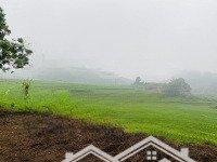 Mảnh Đất Có Diện Tích 1400M2 Có 800M2 Đất Ở View Cánh Đồng Siêu Đẹp, Cao Phong Hoà Bình, 1,X Tỷ