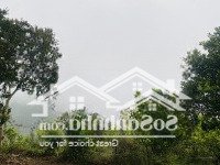 Mảnh Đất Có Diện Tích 1400M2 Có 800M2 Đất Ở View Cánh Đồng Siêu Đẹp, Cao Phong Hoà Bình, 1,X Tỷ