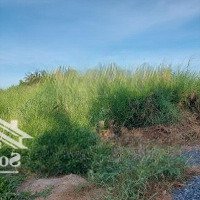 Bán 4700M2 Thổ Cư Đường Ô Tô Xã Mỹ Phú Huyện Thủ Thừa. Tỉnh Long An