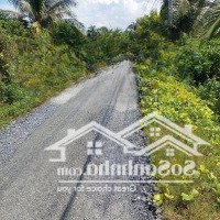 Bán 4700M2 Thổ Cư Đường Ô Tô Xã Mỹ Phú Huyện Thủ Thừa. Tỉnh Long An