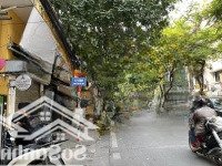 Bán Nhà Mặt Phố Tôn Thất Thiệp ,Phường Điện Biên Quân Ba Đình, Hà Nội